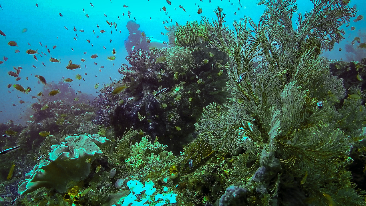 gopr2038.mp4_20201108_200145.845 (1).jpg