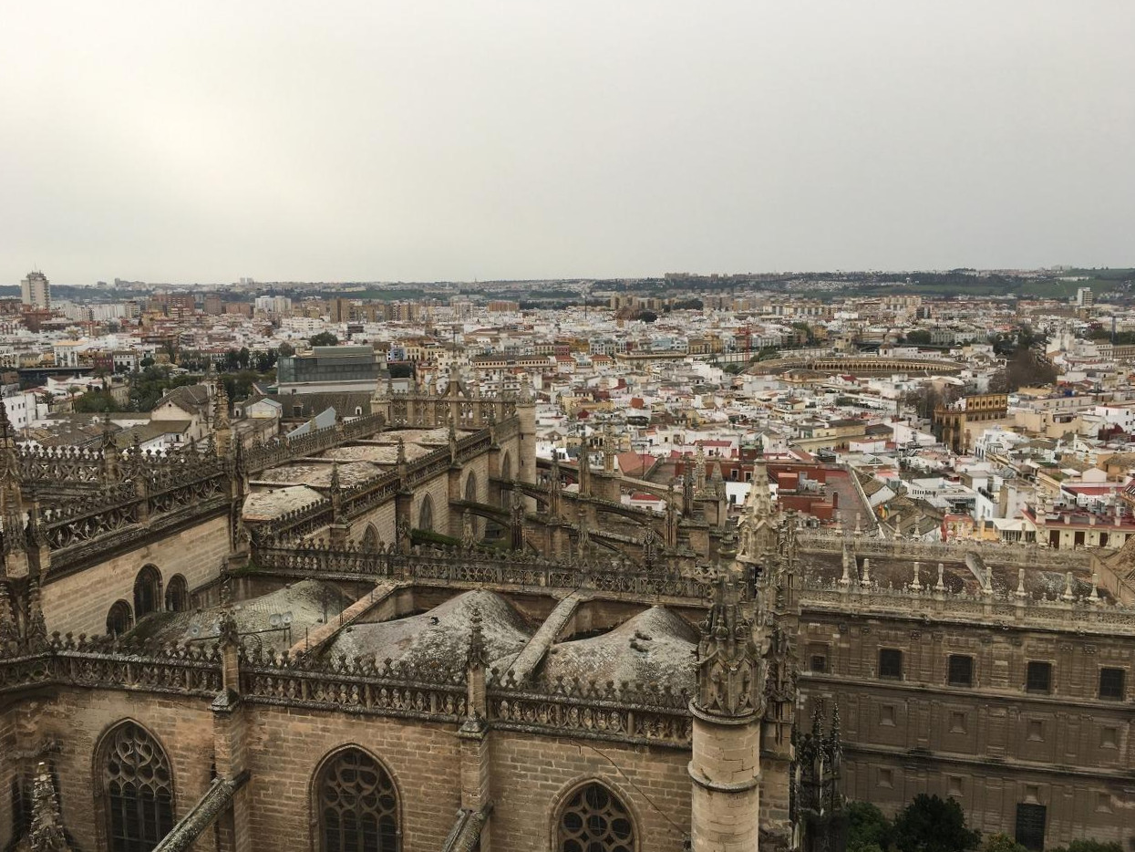 사진 2020. 2. 9. 오후 10 34 13.jpg