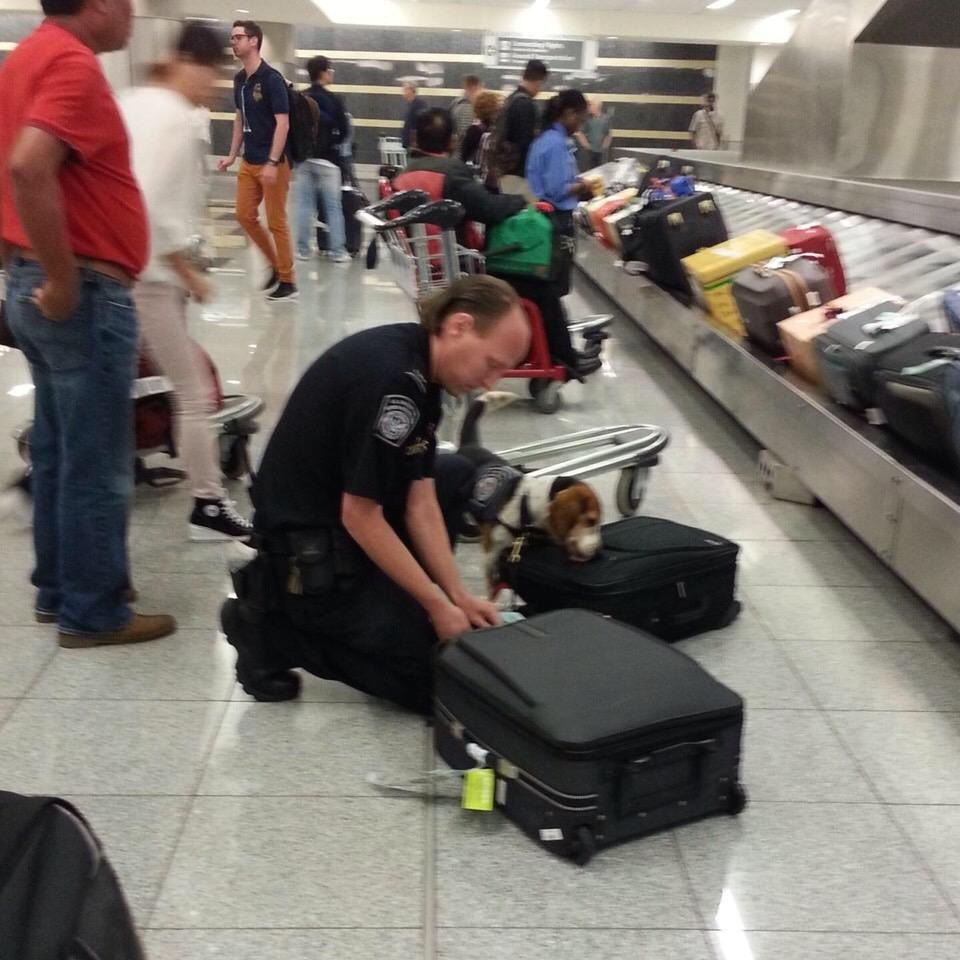 사진 2020. 1. 19. 오후 10 45 10.jpg