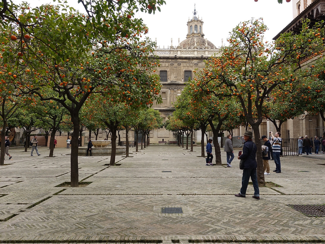 사진 2020. 2. 9. 오후 10 34 50.jpg