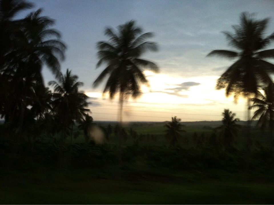 사진 2018. 3. 15. 오전 11 03 09.jpg