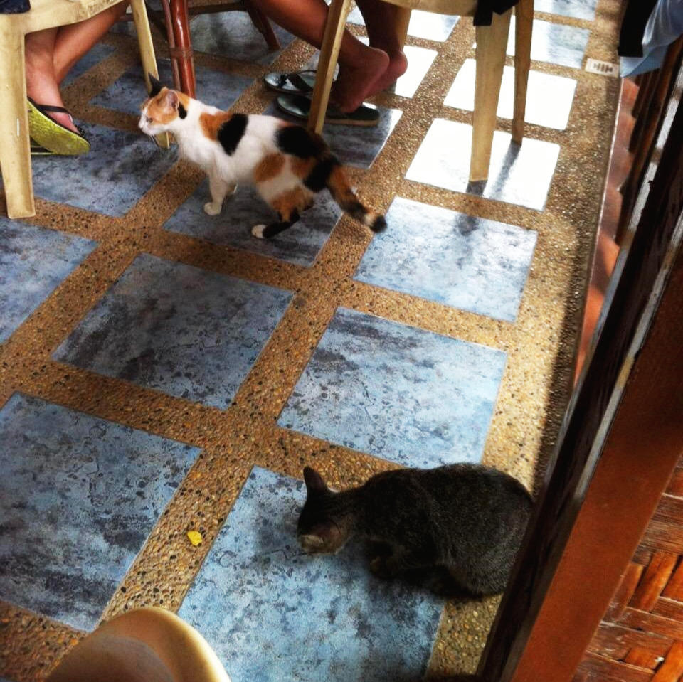 사진 2018. 6. 17. 오후 12 40 44.jpg