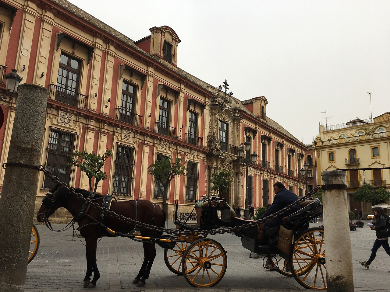 사진 2020. 2. 9. 오후 10 33 25.jpg