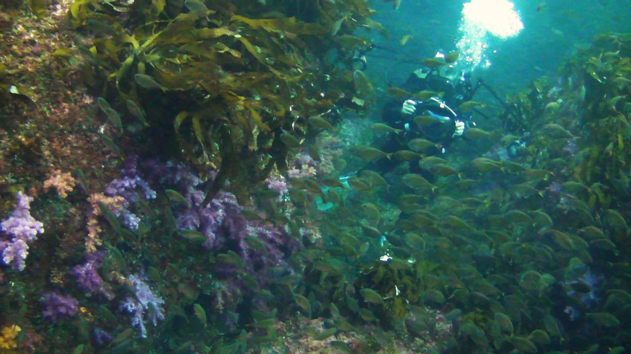 주걱치와 카메라맨.jpg