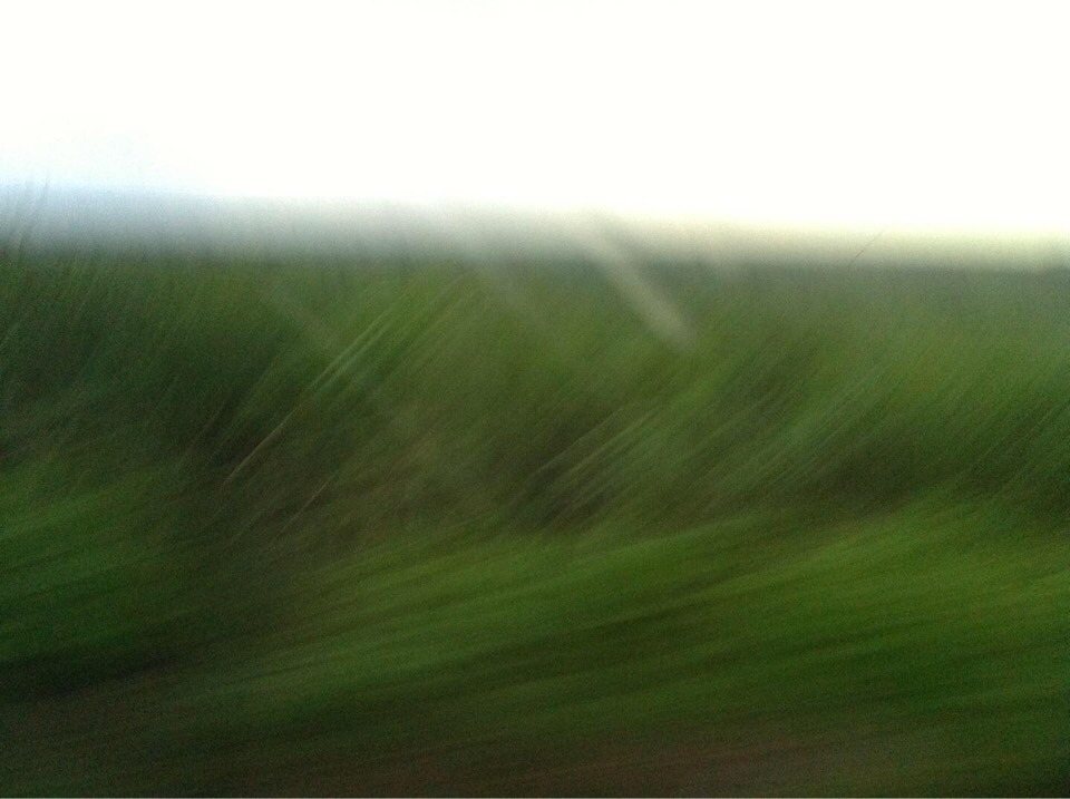 사진 2018. 3. 15. 오전 11 03 05.jpg