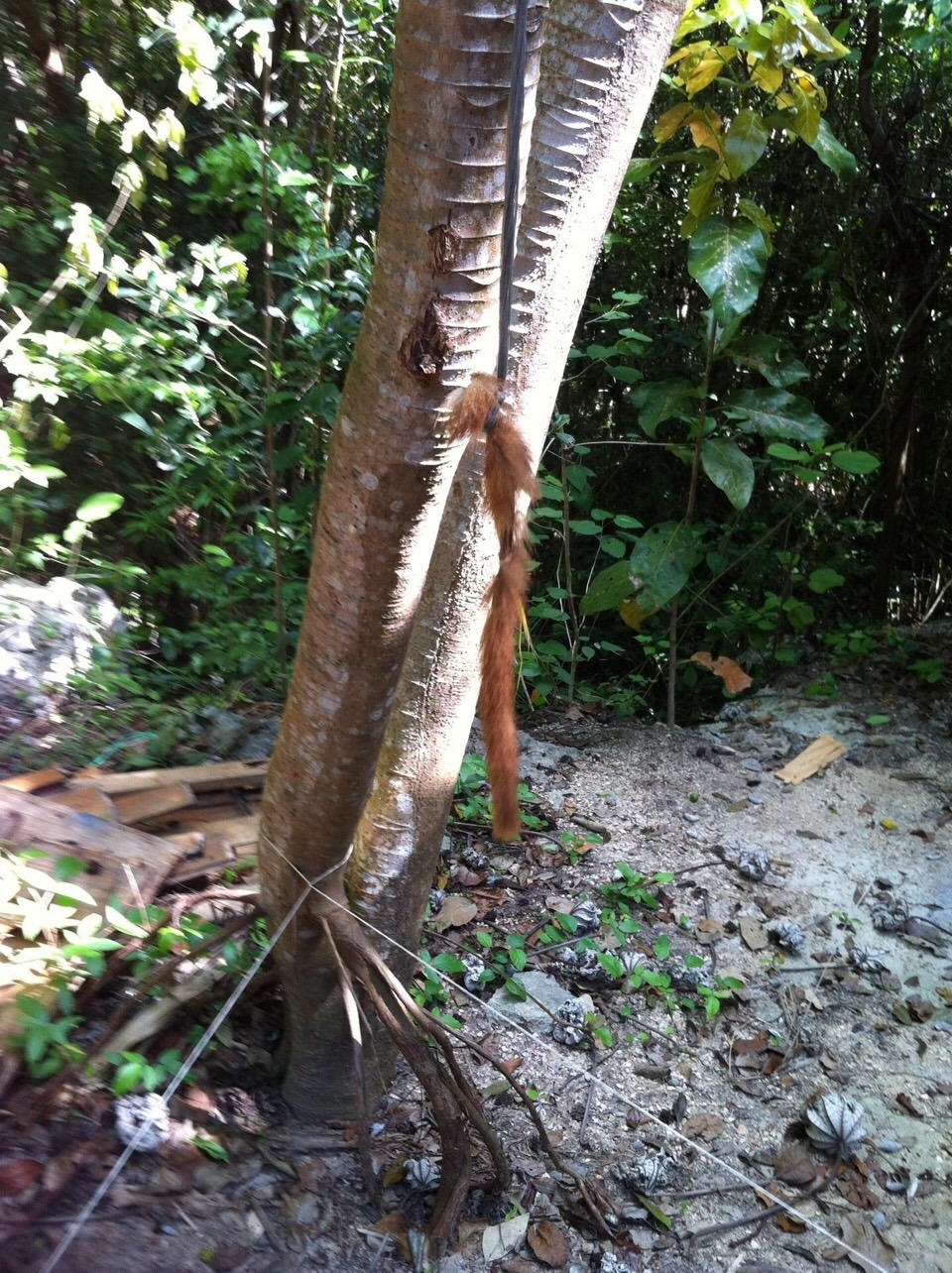 사진 2018. 12. 23. 오후 3 05 53.jpg