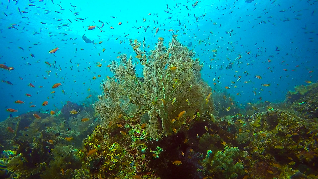 gopr2053.mp4_20201108_200403.837 (1).jpg