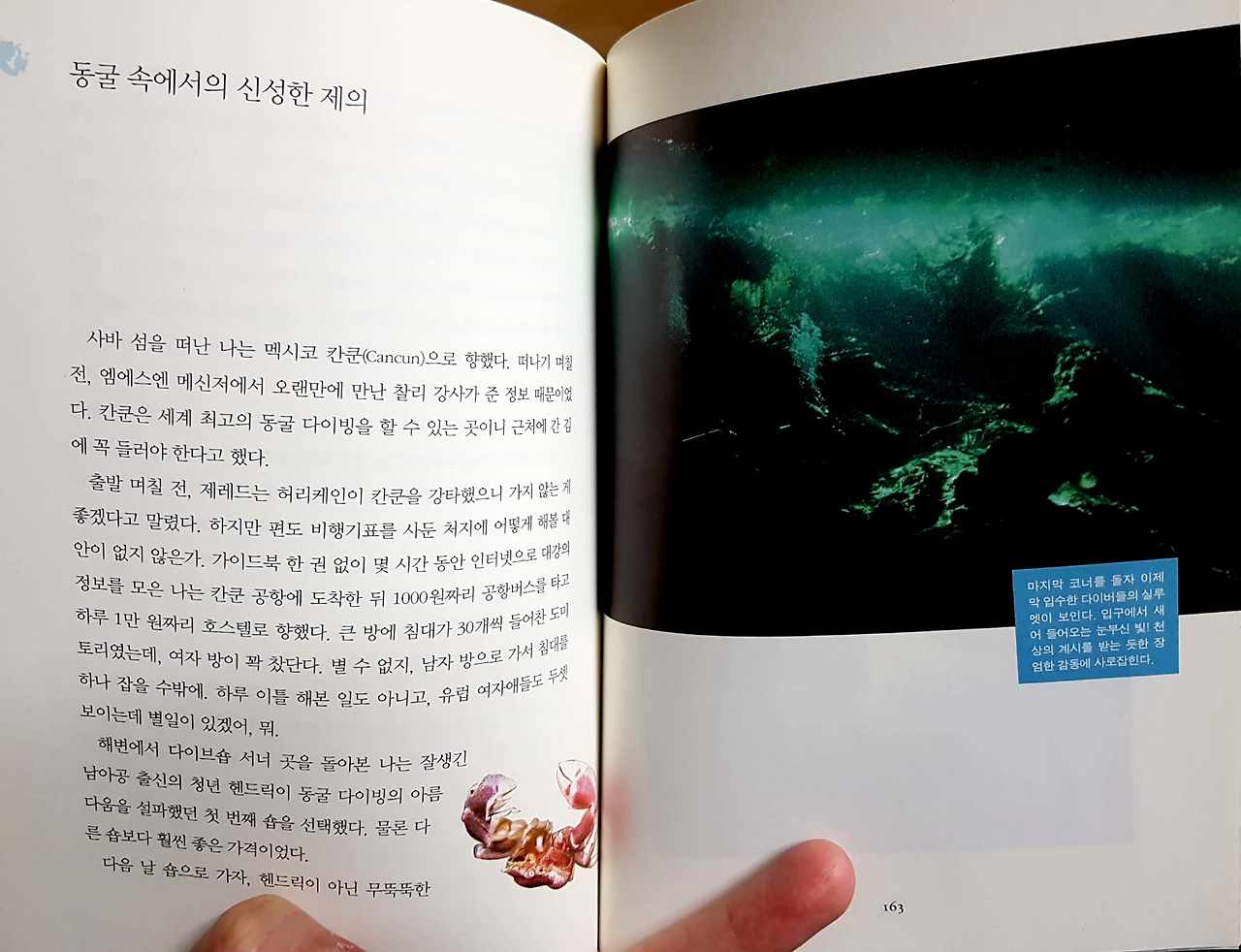 새 파일 2018-12-16 20.29.00_2.jpg