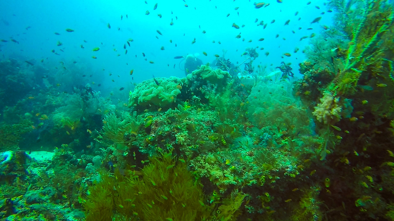 gopr2052.mp4_20201108_200353.171 (1).jpg