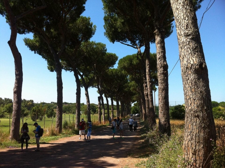 사진 2020. 8. 31. 오후 3 43 19.jpg