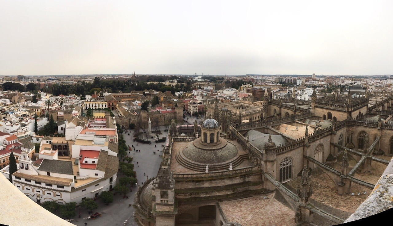 사진 2020. 2. 9. 오후 10 34 17.jpg