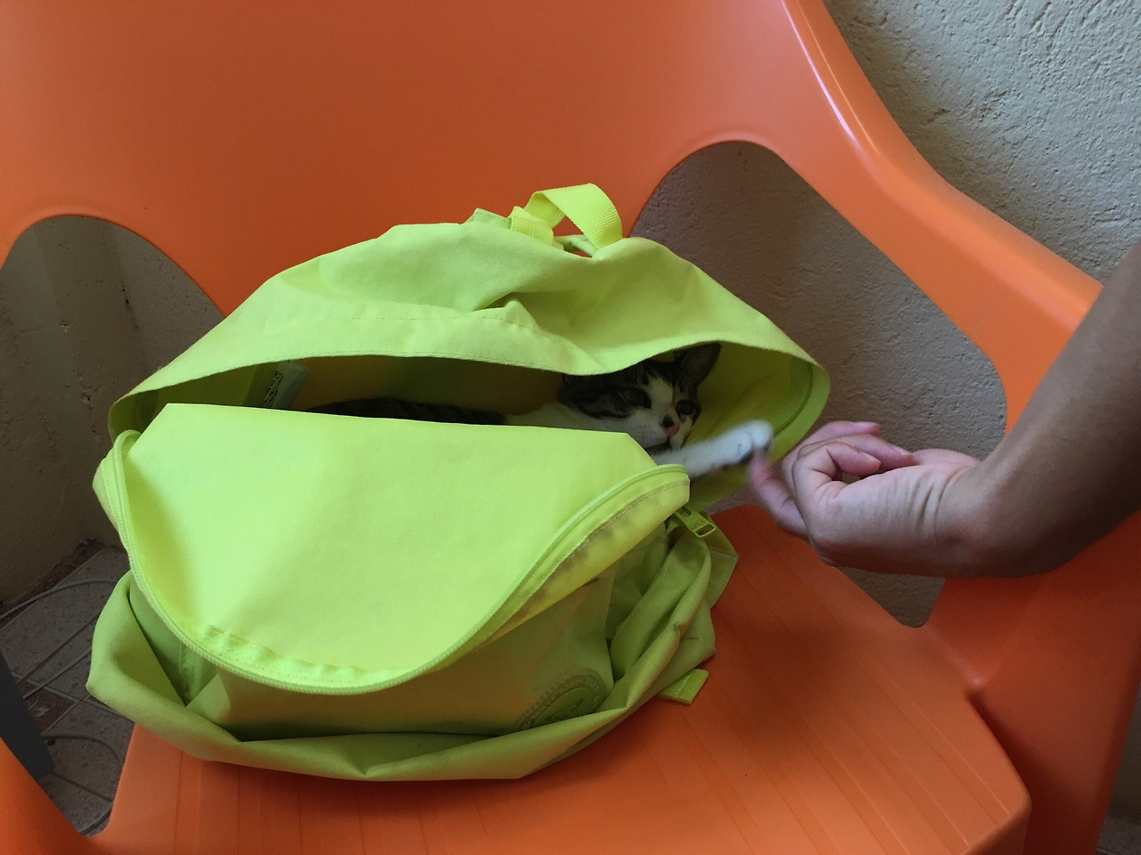 사진 2019. 10. 13. 오후 10 31 54.jpg