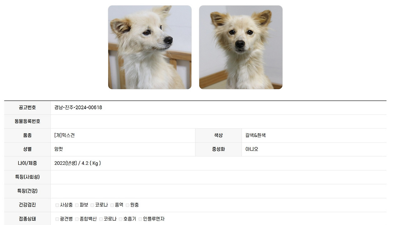 유기견을 입양했다.jpg