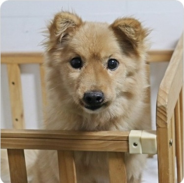 공공 육일칠.jpg