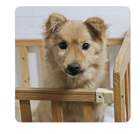 공공 육일칠.jpg