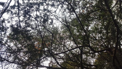 6편_사진1 보정.jpg