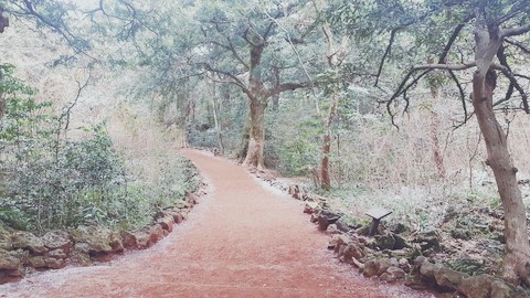 6편_사진3 보정.jpg