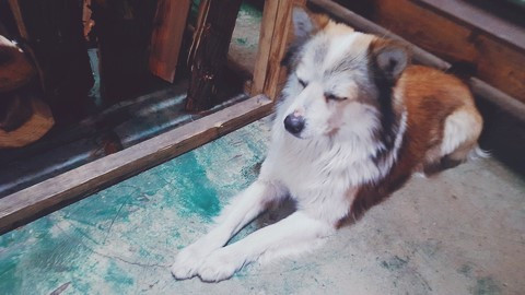 9편_사진2 보정.jpg