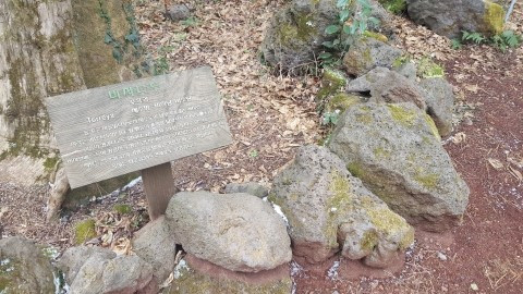 6편_사진2 보정.jpg