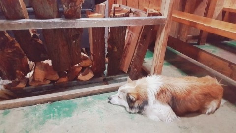 5편 사진2 필터.jpg