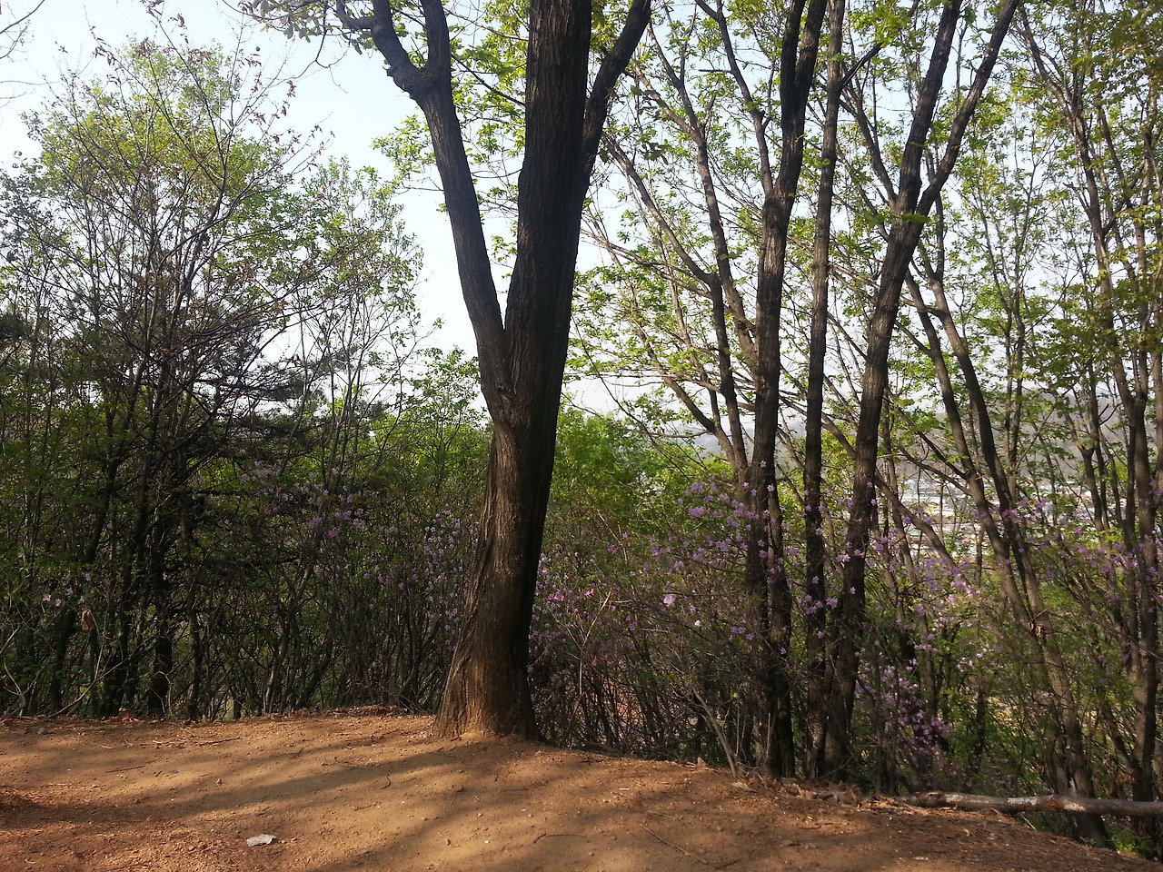 2016-04-15 16.12.09.jpg