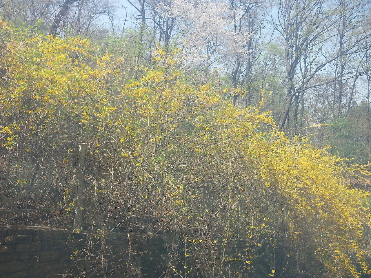 2016-04-14 14.18.11.jpg