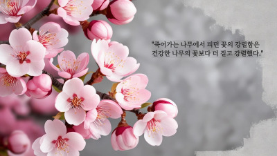 빝은 회색 배경에 분홍 매화꽃 1280_800 이미지로 만들어줘.jpg