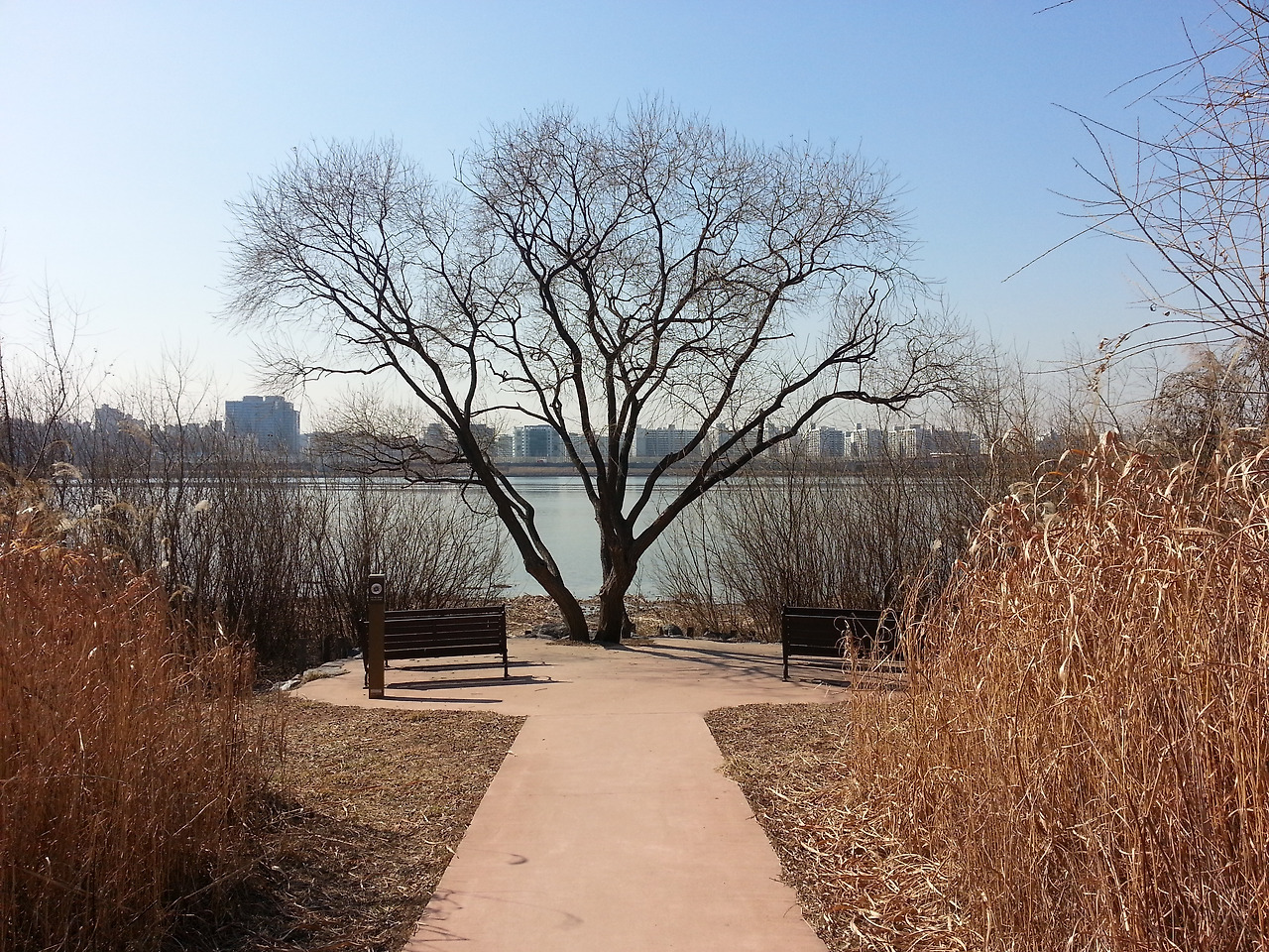 스마트폰 카메라 044.jpg