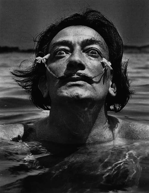 dali03.jpg