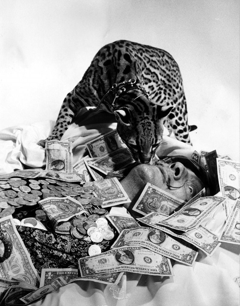 dali-money2.jpg