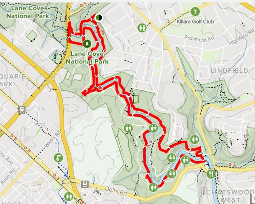 Lane Cove Riverside Walk.jpg