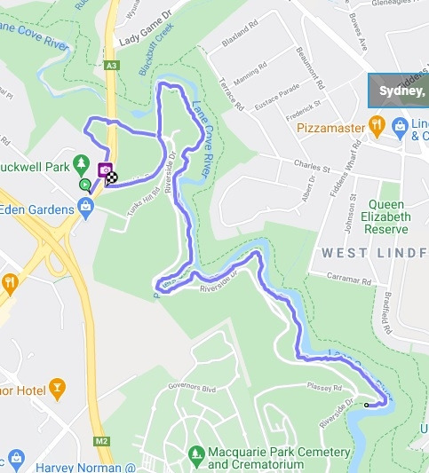 Lane Cove Riverside Walk_mine (2 Jan 2021).jpg