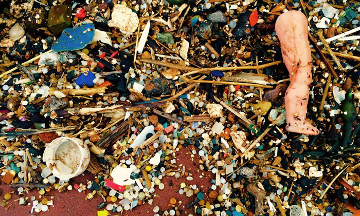 microplastics-Credit-Trevor-Morton.jpg