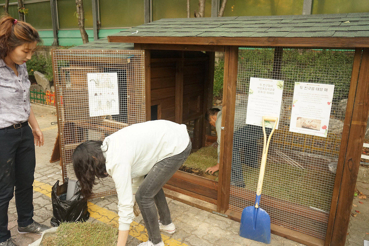 연구원들과 함께 잔디를 심고 계시는 송병일 교장선생님.jpg