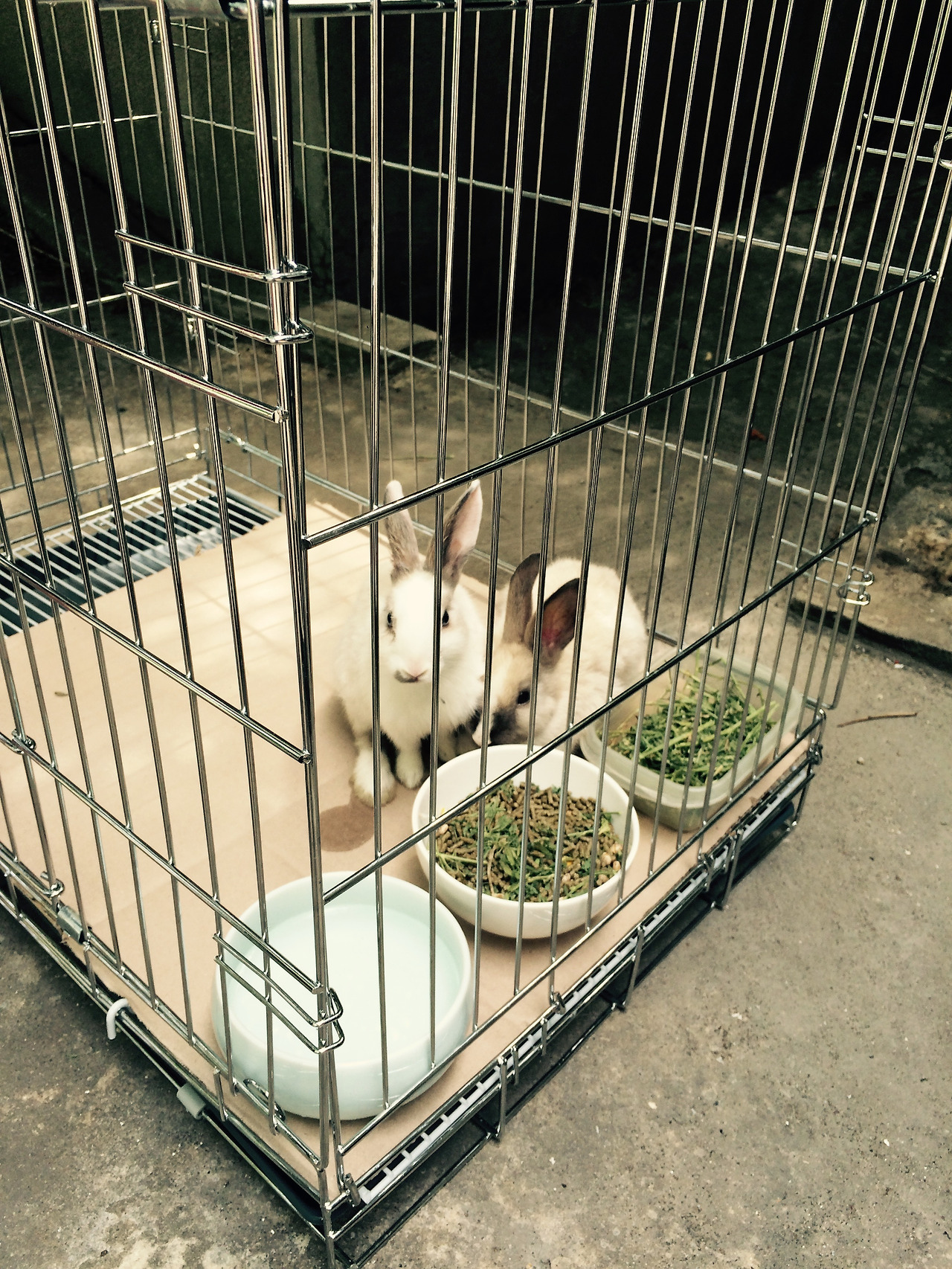 FullSizeRender 47.jpg