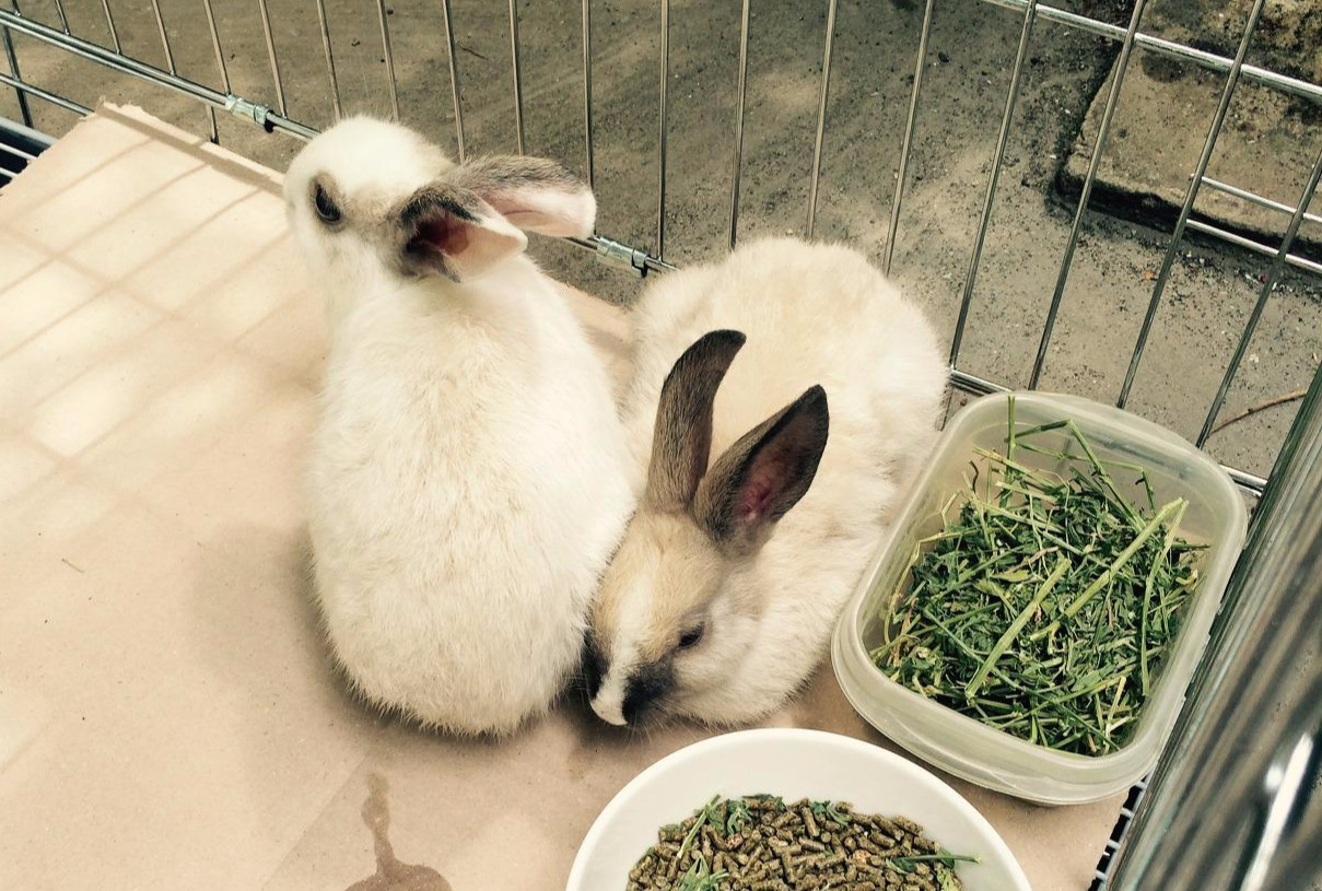 FullSizeRender 15.jpg