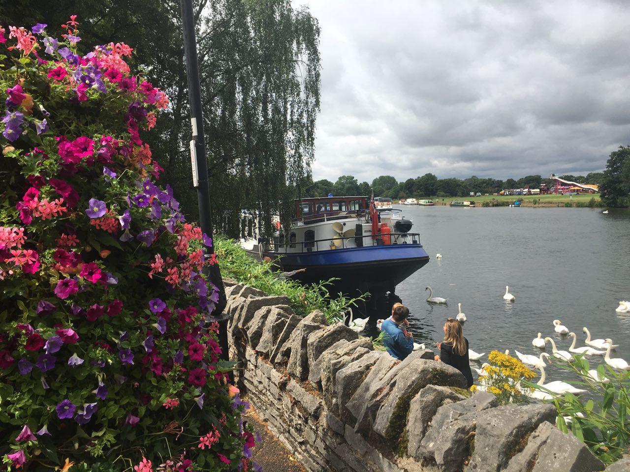 템즈 강.jpg