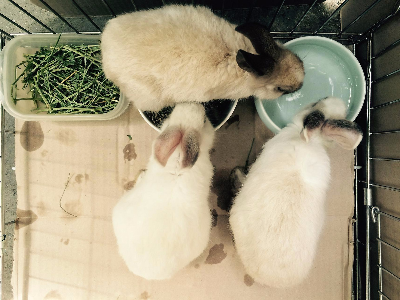 FullSizeRender 32.jpg