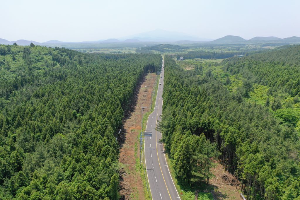 비자림로 확포장 공사구간. 논란이 일며 공사가 중지되었다_제주환경운동연합.jpg