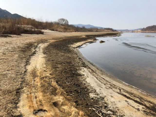 수문개방이후-넓은-모래톱이-드러났다-640x480.jpg