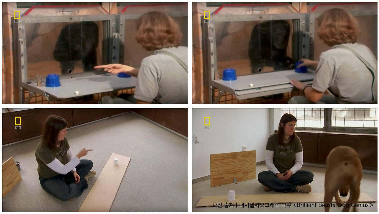 스크린샷 2019-01-14 오후 2.31.48.jpg