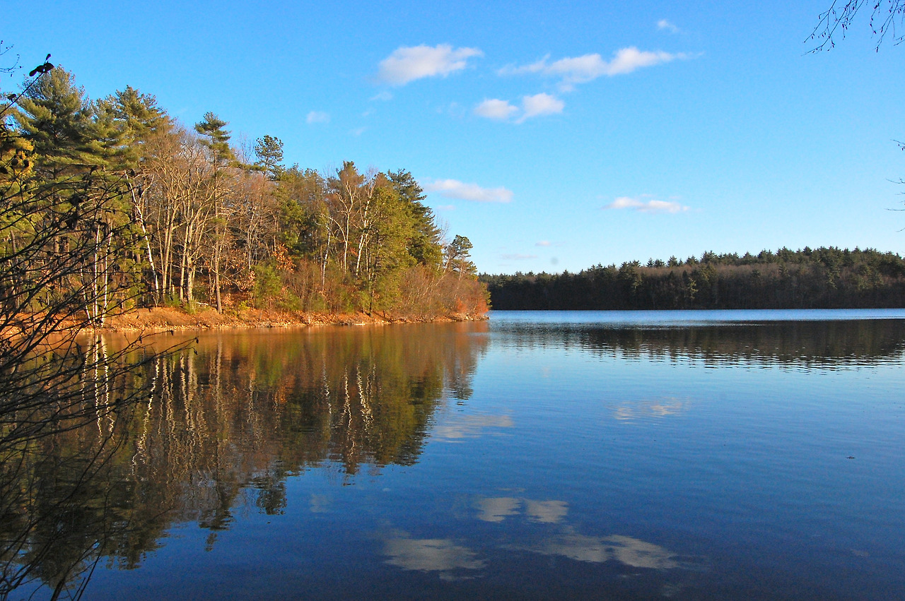 Walden_Pond,_2010.jpg