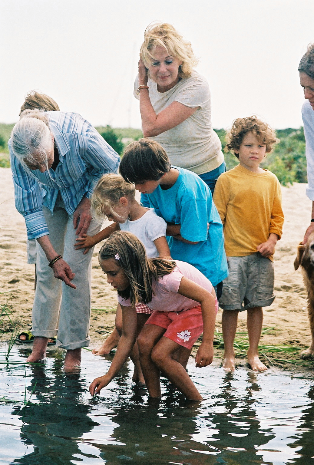 Jane_Goodall_sharing_the_magical_wonders_of_water_and_wetlands_with_children_on_Martha's_Vineyard.jpg