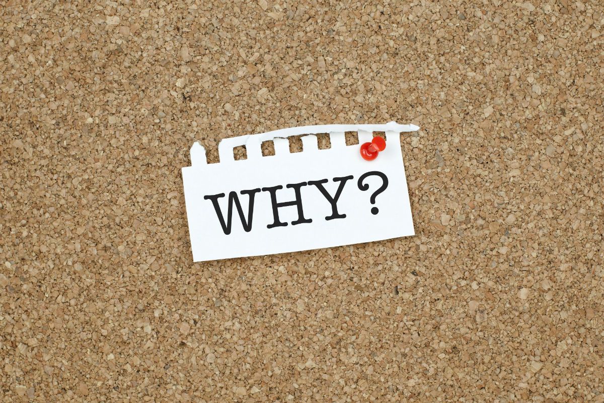 why.jpg
