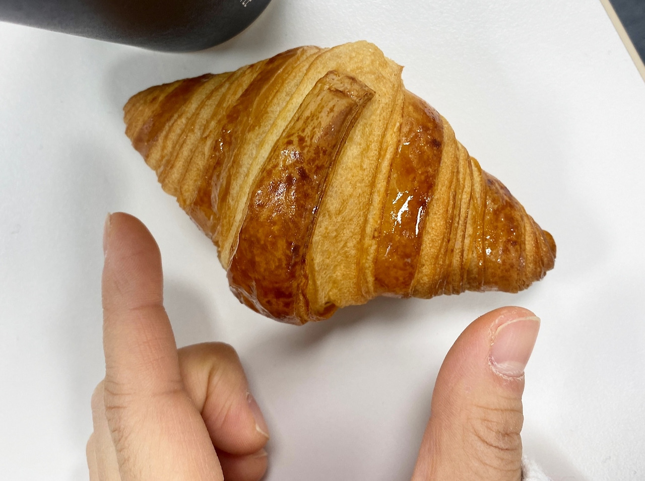 1. 새벽에 만난 초승달 두 개.jpg