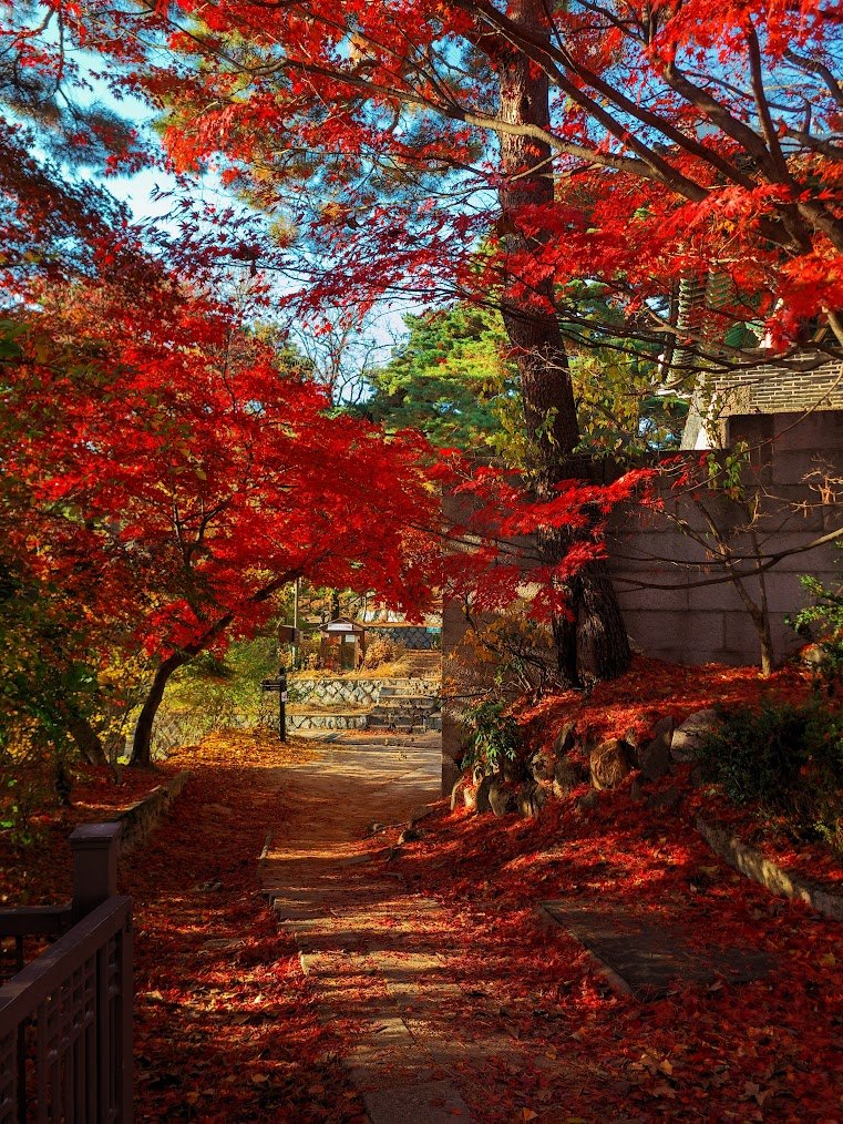 한양도성 순성길 색채 가득한 종주2-4.jpg