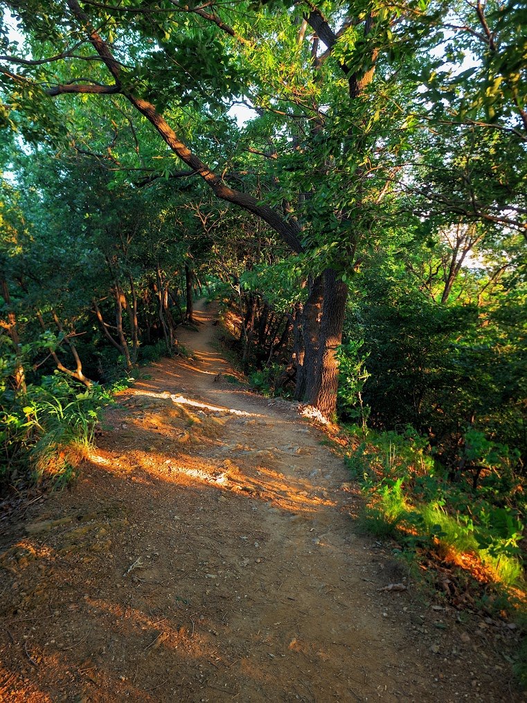호암산의 가성비와 준비되지 않은 등산의 위험성2.jpg