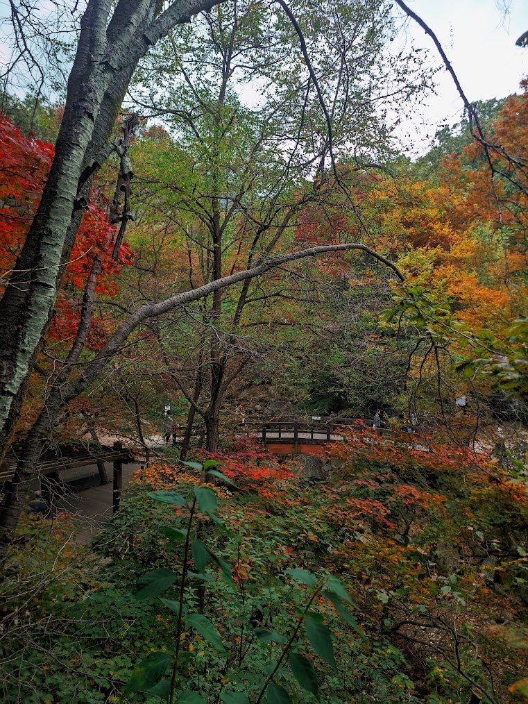 도봉산 만월암의 단풍 계단 1-1.jpg
