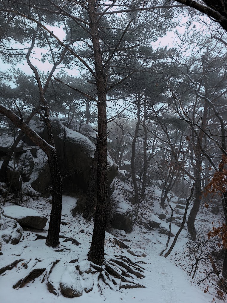 눈 덮인 사패산2-3.jpg