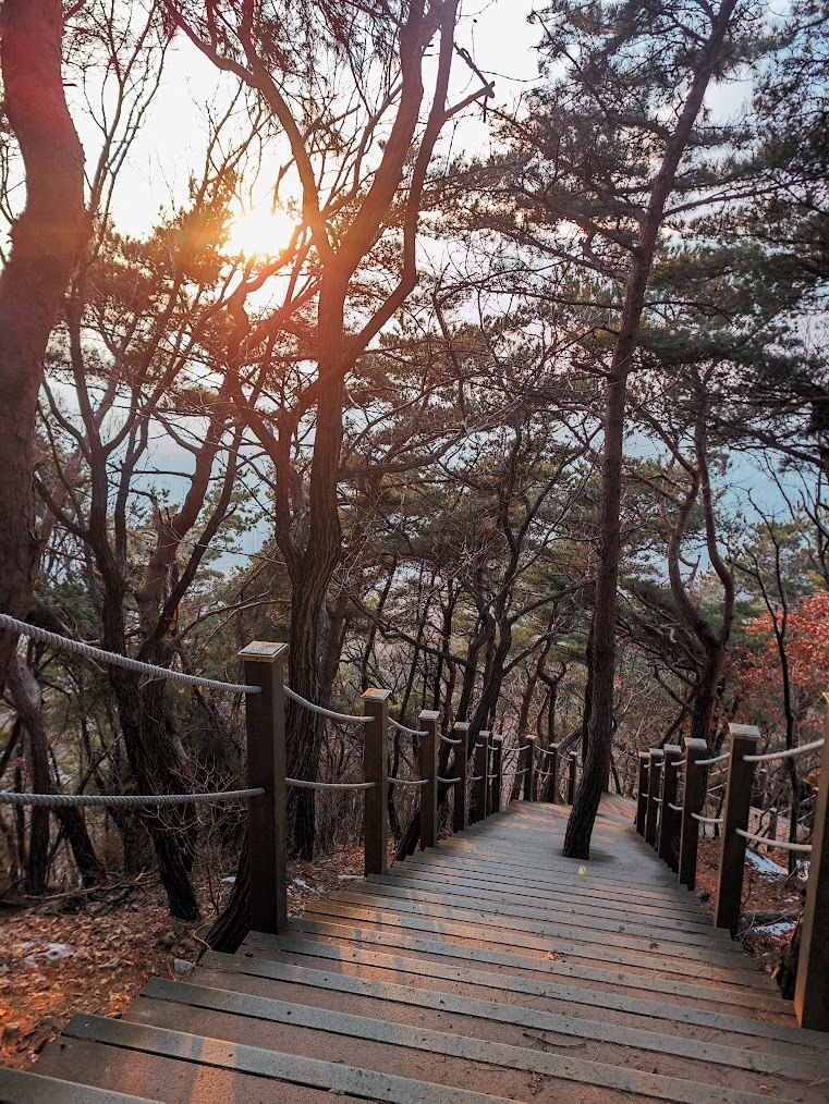 남한산성으로 가는 길고 벅찬 길 1-5.jpg